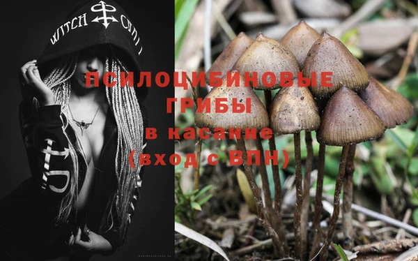мдма Дмитров