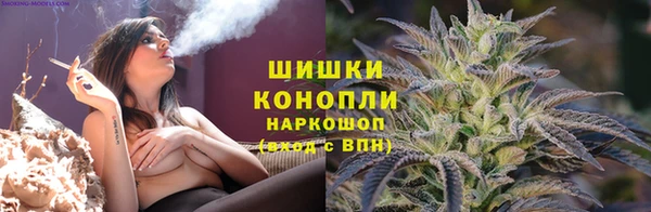 дживик Дмитриев