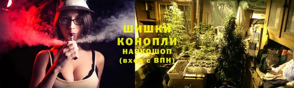 дживик Дмитриев