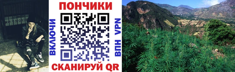 Каннабис SATIVA & INDICA Западная Двина