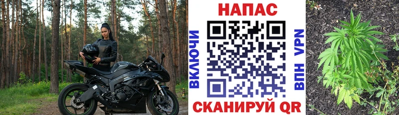 мега зеркало  где найти   Западная Двина  Бошки марихуана White Widow 